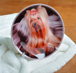 Друк на тарілках Друк на тарілках