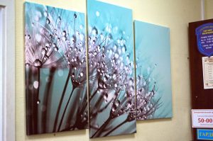 Canvases Canvases