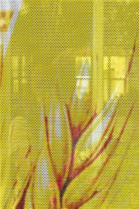 Perforated film Perforated film